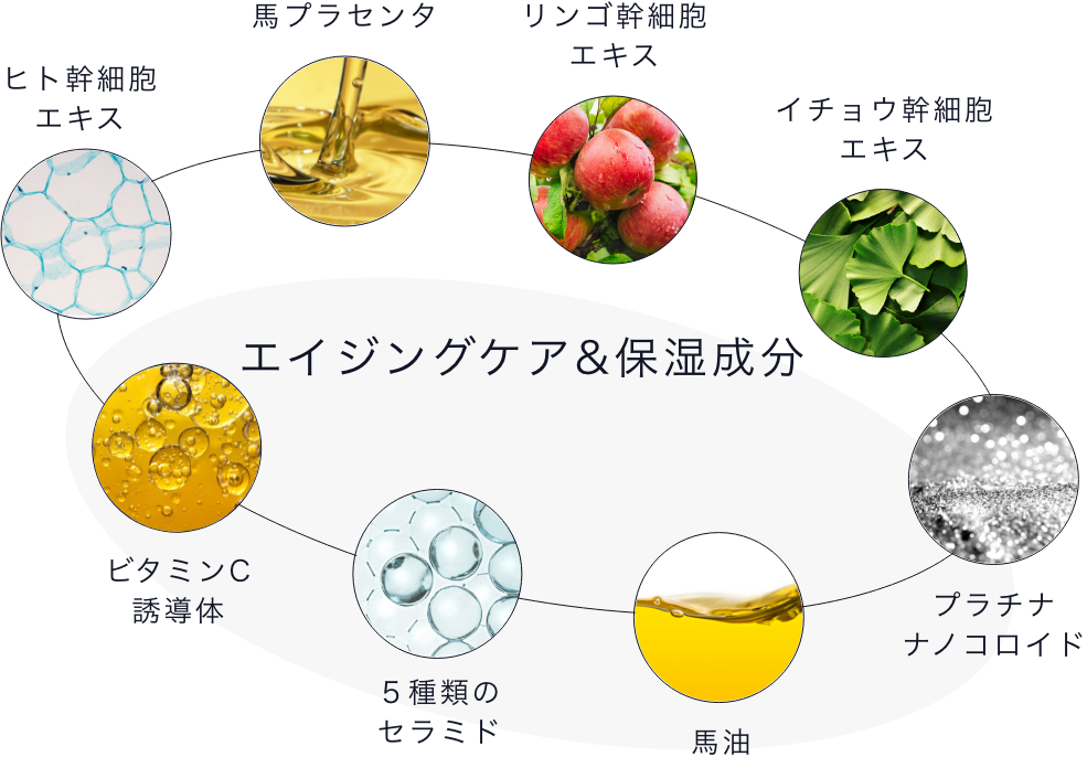 エイジングサインへのアプローチ
